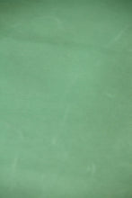 画像をギャラリービューアに読み込む, アウトレット 【INCAS】ISEO 1.2mm c/#LIGHT GREEN