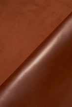 画像をギャラリービューアに読み込む, ソロモン c/# CAMEL