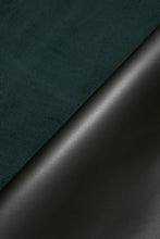 画像をギャラリービューアに読み込む, ソロモン c/# GREEN